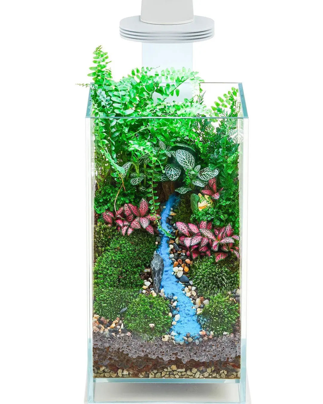 Chihiros Magnetic Light Terrarium Set – DISCONTINUED (FOR DISPLAY ONLY)