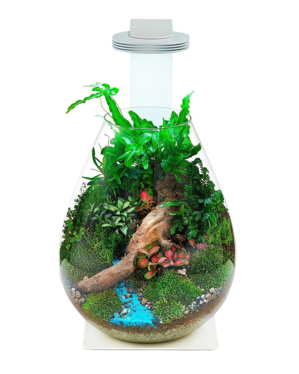 Chihiros Magnetic Light Terrarium Set – DISCONTINUED (FOR DISPLAY ONLY)