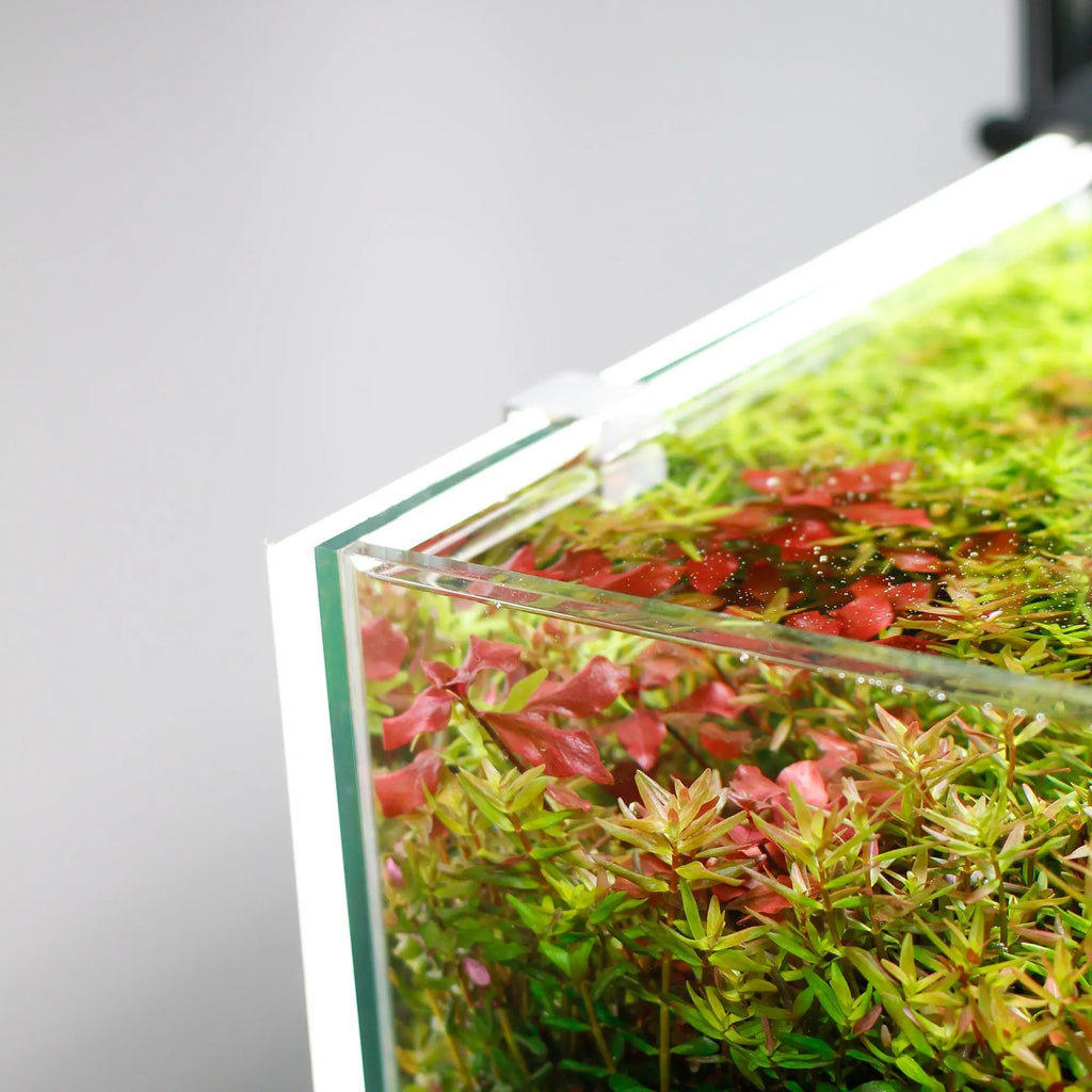 Chihiros White LED Background Lightscreen – DISCONTINUED (FOR DISPLAY ONLY)